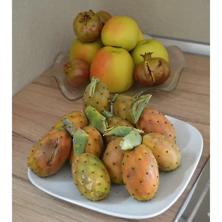 Stazione Dittaino 3*